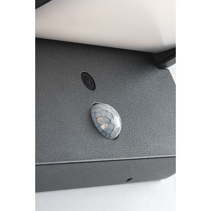 Brilagi - Applique murale solaire avec détecteur de mouvement et de crépuscule ANKLE LED/10W/3,7V 3000 mAh 3000K IP65 anthracite