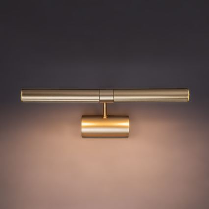 Brilagi - Applique pour tableau DANAE 2xE14/40W/230V dorée