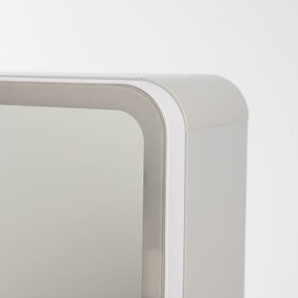 BRILAGI - Armoire-miroir LED de salle de bains avec rétroéclairage NOTO DOUBLE 78x65 cm