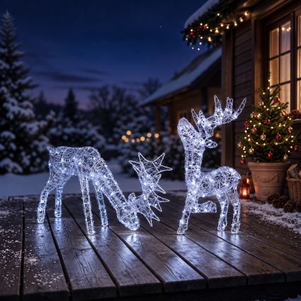 BRILAGI - Décoration de Noël extérieure LED/3,3W/230V IP44 60x37 cm renne