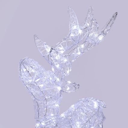 BRILAGI - Décoration de Noël extérieure LED/3,3W/230V IP44 60x37 cm renne