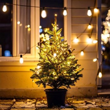 Brilagi - Guirlande de Noël LED extérieure 10xLED/3xAA 3,2 m IP44 blanc chaud