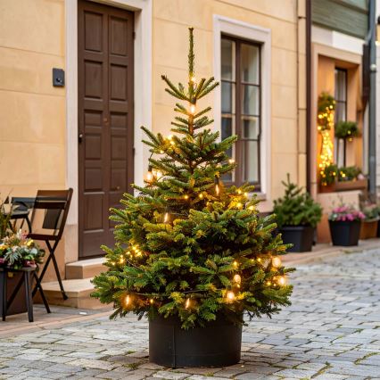 Brilagi - Guirlande de Noël LED extérieure 10xLED/3xAA 3,2 m IP44 blanc chaud