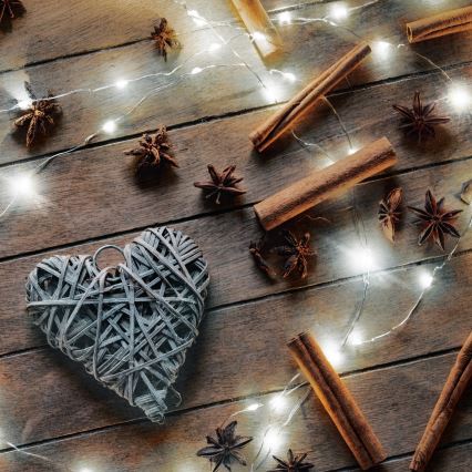 Brilagi - guirlande lumineuse 100xLED/3xAA 10m blanc froid