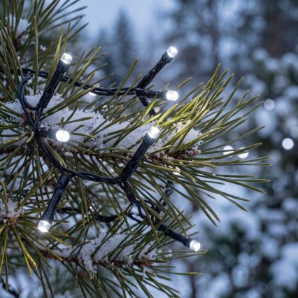 BRILAGI - Guirlande lumineuse LED d'extérieur 400xLED 13m IP44 blanc froid