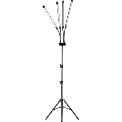 Brilagi - Lampadaire flexible à intensité variable pour la culture de plantes VITABLOOM 4xLED/7,5W/230V noir