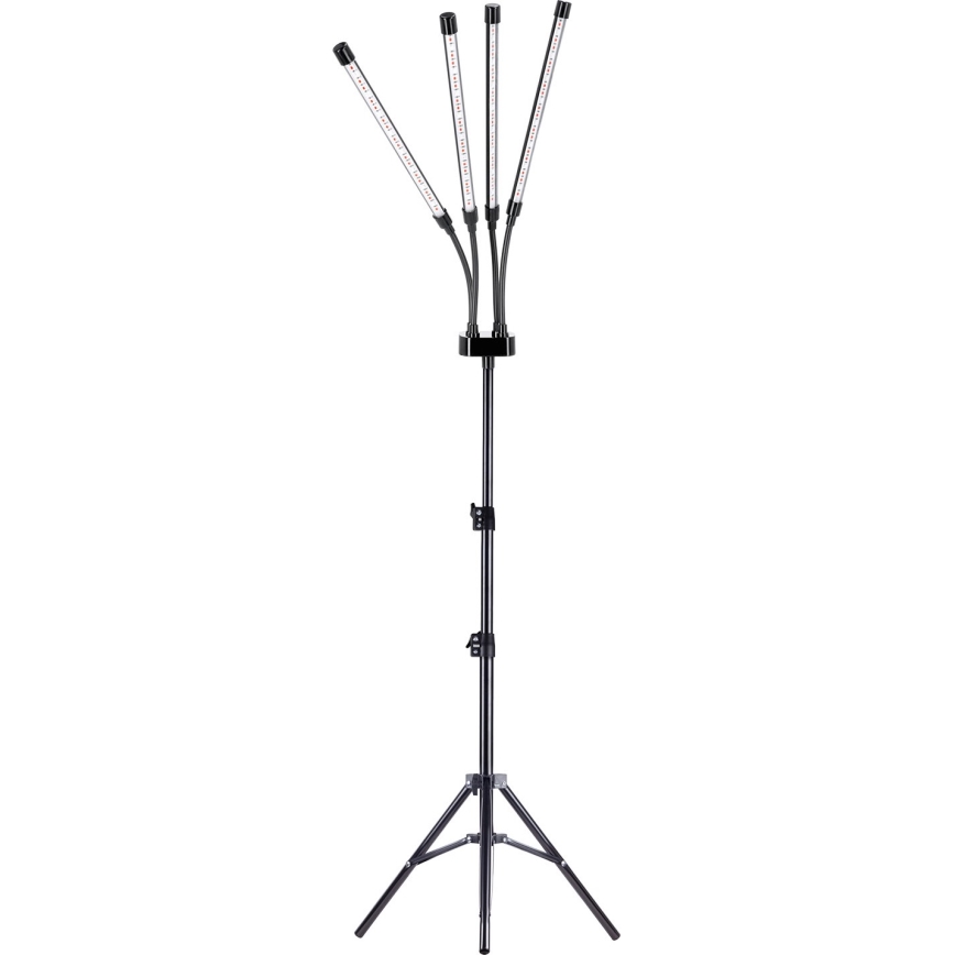 Brilagi - Lampadaire flexible à intensité variable pour la culture de plantes VITABLOOM 4xLED/7,5W/230V noir