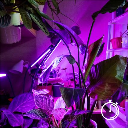 Brilagi - Lampadaire flexible à intensité variable pour la culture de plantes VITABLOOM 4xLED/7,5W/230V noir