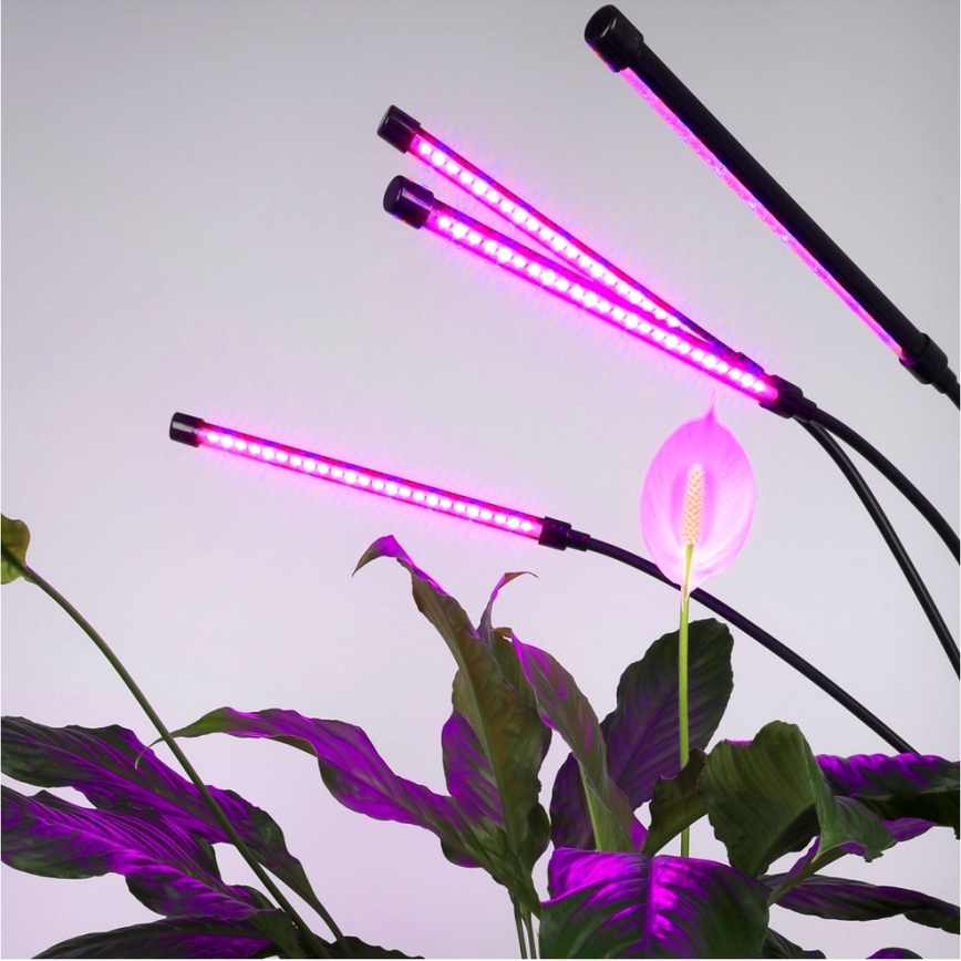 Brilagi - Lampadaire flexible à intensité variable pour la culture de plantes VITABLOOM 4xLED/7,5W/230V noir