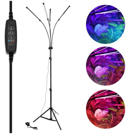 Brilagi - Lampadaire flexible à intensité variable pour la culture de plantes VITABLOOM 4xLED/7,5W/230V noir