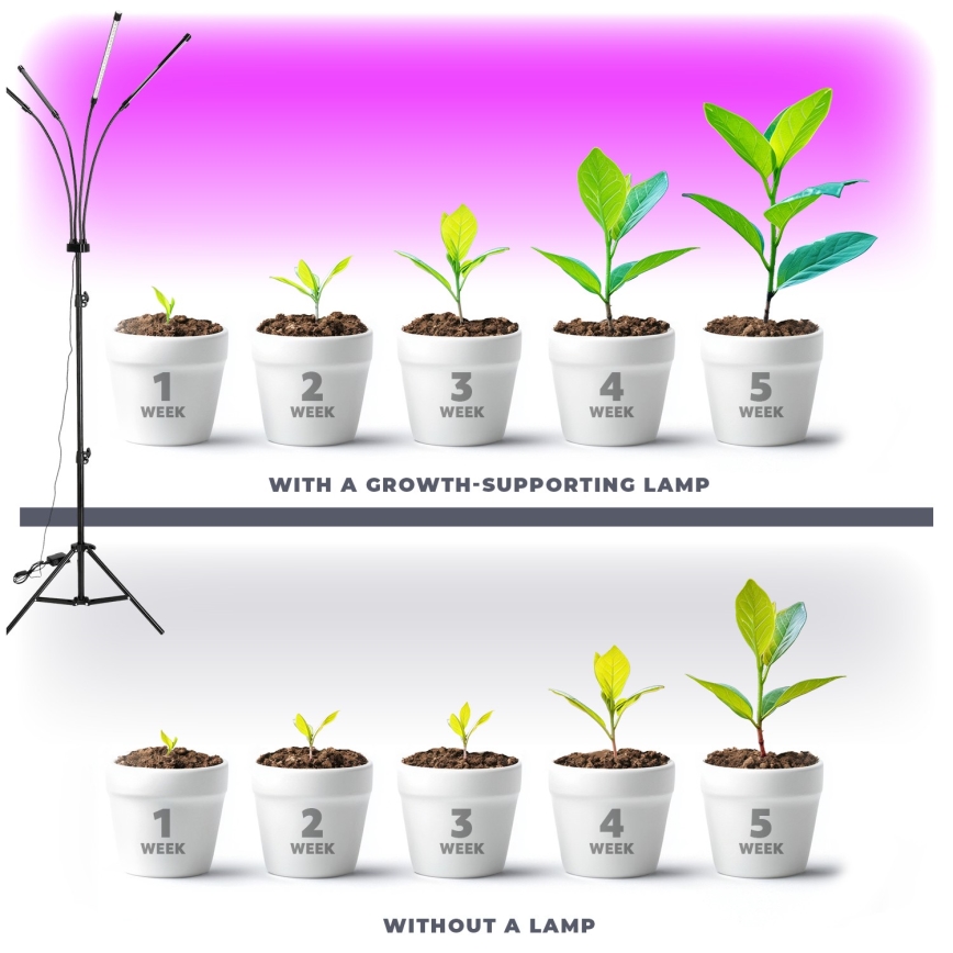 Brilagi - Lampadaire flexible à intensité variable pour la culture de plantes VITABLOOM 4xLED/7,5W/230V noir