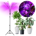 Brilagi - Lampadaire flexible à intensité variable pour la culture de plantes VITABLOOM 4xLED/7,5W/230V noir