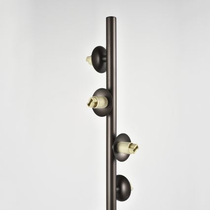 Brilagi - Lampadaire LED MILLA 7xG9/3W/230V brun / brun fumé