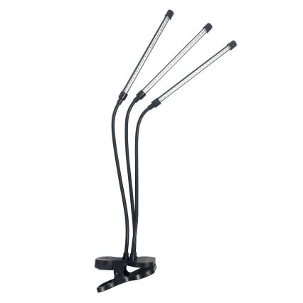 Brilagi - Lampe de table flexible à intensité variable avec pince pour la culture des plantes VITABLOOM 3xLED/10W/230V noir