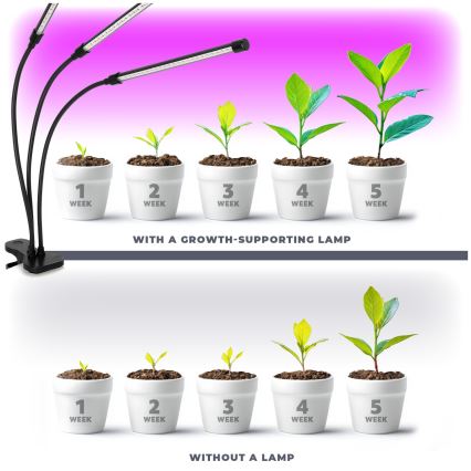 Brilagi - Lampe de table flexible à intensité variable avec pince pour la culture des plantes VITABLOOM 3xLED/10W/230V noir