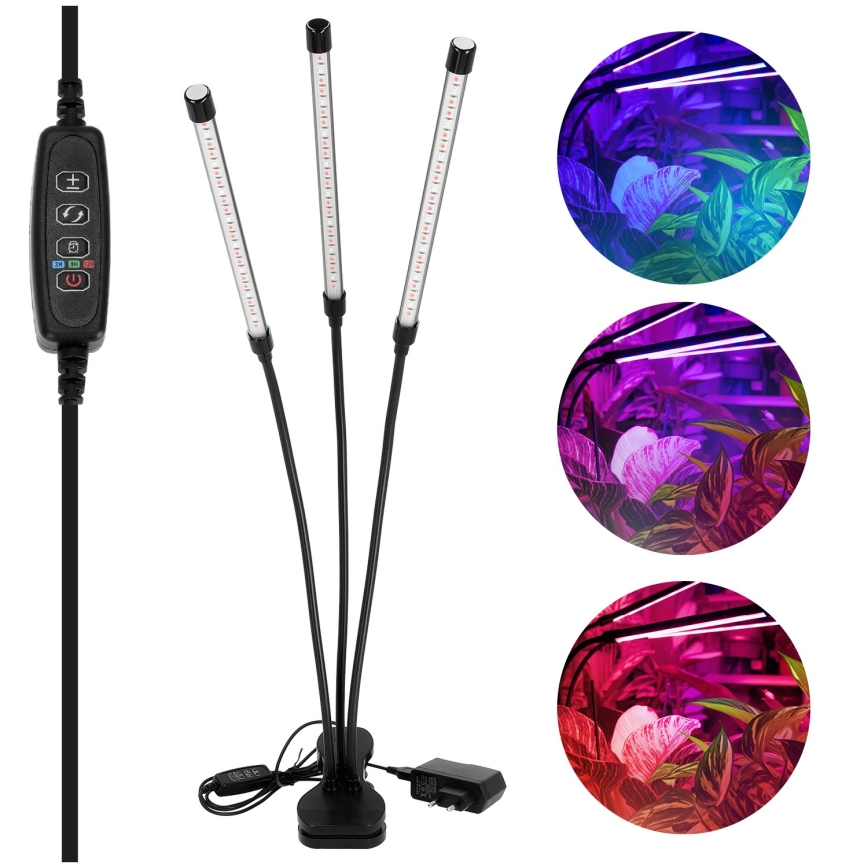 Brilagi - Lampe de table flexible à intensité variable avec pince pour la culture des plantes VITABLOOM 3xLED/10W/230V noir