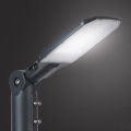 Brilagi - Lampe de rue extérieure URBANLIGHT LED/50W/230V anthracite IP65