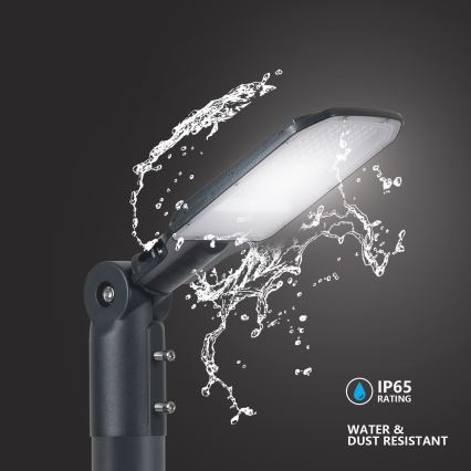 Brilagi - Lampe de rue extérieure URBANLIGHT LED/50W/230V anthracite IP65