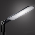 Brilagi - Lampe de rue LED extérieure URBANLIGHT LED/250W/230V noire IP65