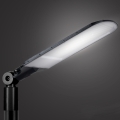 Brilagi - Lampe de rue LED URBANLIGHT LED/250W/230V noire IP65