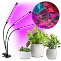 BRILAGI - Lampe de table flexible à intensité variable avec pince pour la culture des plantes VITABLOOM 3xLED/10W/230V noir