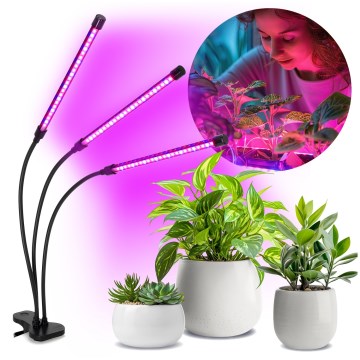 Brilagi - Lampe de table flexible à intensité variable avec pince pour la culture des plantes VITABLOOM 3xLED/10W/230V noir