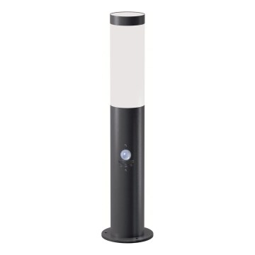 Brilagi - Lampe d'extérieur avec détecteur ELIA 1xE27/20W/230V IP44 50 cm anthracite