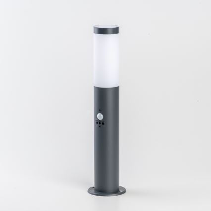 BRILAGI - Lampe d'extérieur avec détecteur ELIA 1xE27/20W/230V IP44 50 cm anthracite