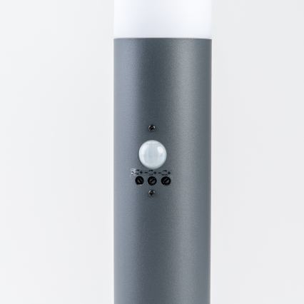 BRILAGI - Lampe d'extérieur avec détecteur ELIA 1xE27/20W/230V IP44 50 cm anthracite