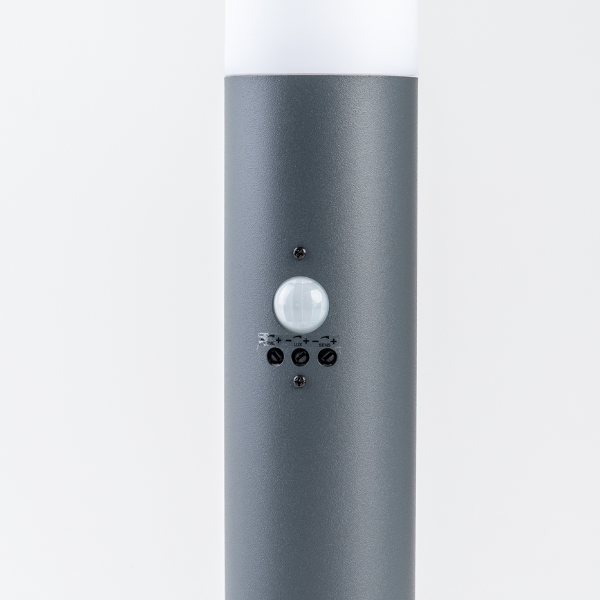 BRILAGI - Lampe d'extérieur avec détecteur ELIA 1xE27/20W/230V IP44 50 cm anthracite