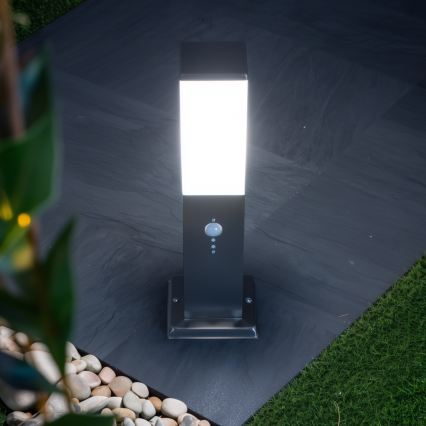 Brilagi - Lampe d'extérieur avec détecteur NOVA 1xE27/15W/230V 40 cm IP44 chrome mat