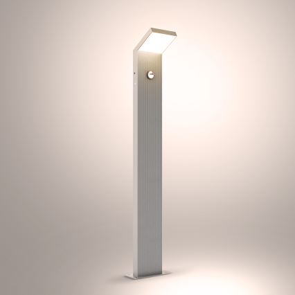Brilagi - Lampe d'extérieur LED avec capteur RIANO LED/8W/230V argentée IP65