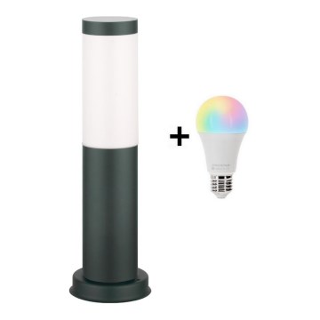 Brilagi - Lampe d'extérieur LED RGBW dimmable 1xE27/9W/230V 2700-6500K IP44 40 cm anthracite