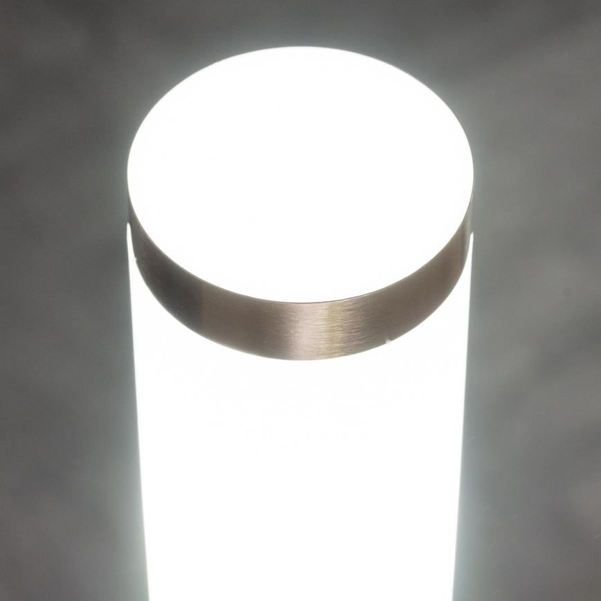 BRILAGI - Lampe extérieure LED RGBW dimmable ELIA 1xE27/6,5W/230V 2700-6500K IP44 Wi-Fi 100 cm chrome mat