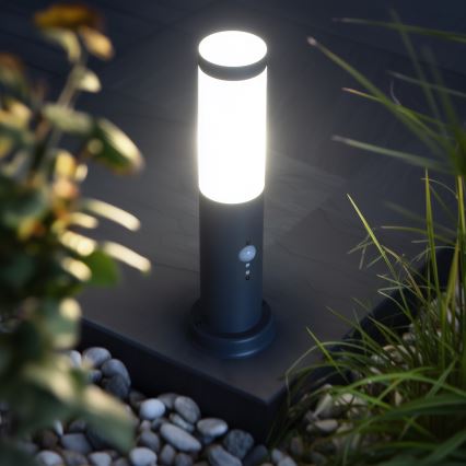 Brilagi - Lampe d'extérieur NOVA avec détecteur 1xE27/15W/230V 40 cm IP44 anthracite