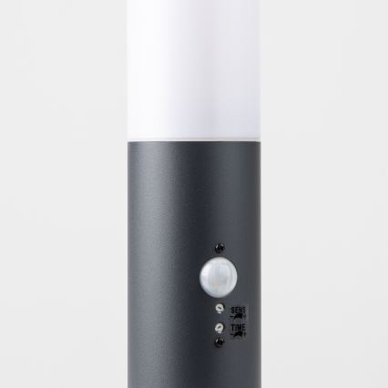 Brilagi - Lampe d'extérieur NOVA avec détecteur 1xE27/15W/230V 40 cm IP44 anthracite