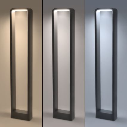 Brilagi - Lampe extérieure BARI LED/7W/230V 3000/4000/6000K anthracite IP54 80 cm