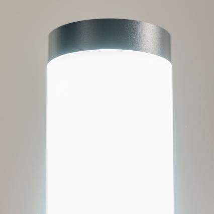 BRILAGI - Lampe extérieure LED ELIA 1xE27/7W/230V 4000K IP44 100 cm anthracite