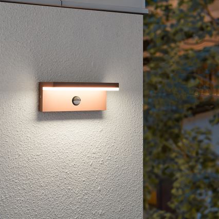 Brilagi - Applique murale d'extérieur LED avec détecteur TESSI LED/10W/230V marron IP54