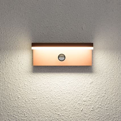 Brilagi - Applique murale d'extérieur LED avec détecteur TESSI LED/10W/230V marron IP54