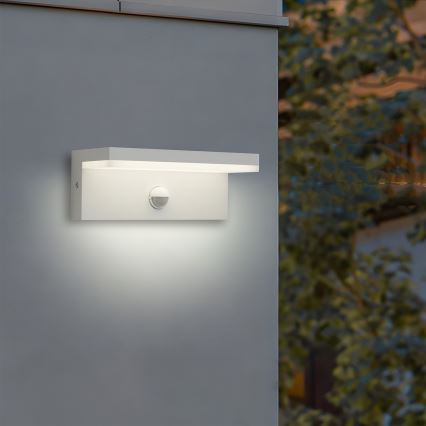 Brilagi - Applique murale d'extérieur LED avec détecteur TESSI LED/10W/230V blanche IP54