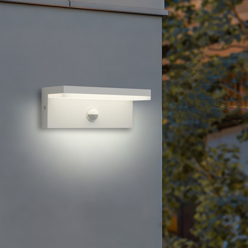 Brilagi - Applique murale d'extérieur LED avec détecteur TESSI LED/10W/230V blanche IP54