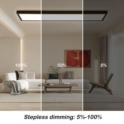 Brilagi - Applique de Salle de Bain Dimmable FRAME SMART LED/50W/230V 30x120 cm 3000-6000K IP44 Noir + Télécommande