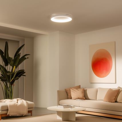 Brilagi - Plafonnier LED dimmable FALCON SLIM LED/42W/230V 3000-6500K Ø 50 cm blanc + télécommande