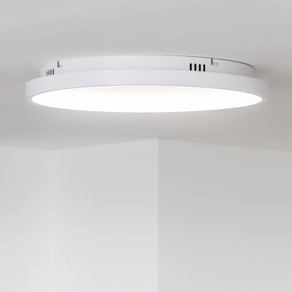 Brilagi - Plafonnier LED dimmable FALCON SLIM LED/42W/230V 3000-6500K Ø 50 cm blanc + télécommande