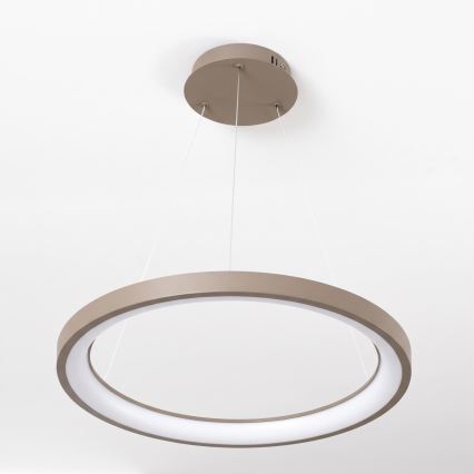 BRILAGI - Suspension LED dimmable sur câble FALCON SLIM LED/42W/230V 3000-6500K Ø 50 cm beige + télécommande