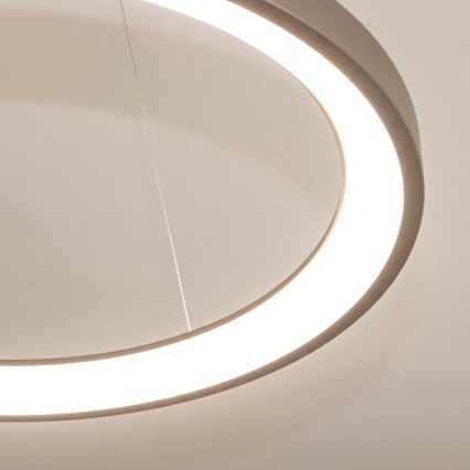 BRILAGI - Suspension LED dimmable sur câble FALCON SLIM LED/42W/230V 3000-6500K Ø 50 cm beige + télécommande