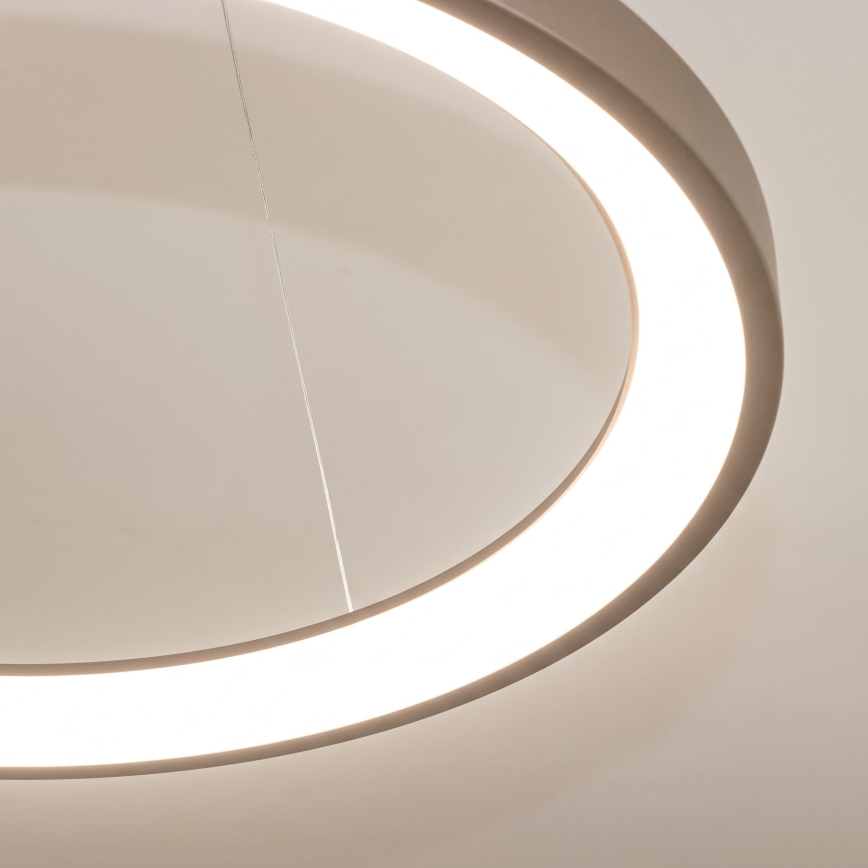 BRILAGI - Suspension LED dimmable sur câble FALCON SLIM LED/42W/230V 3000-6500K Ø 50 cm beige + télécommande