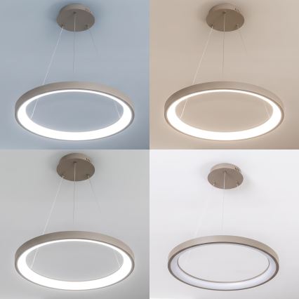 BRILAGI - Suspension LED dimmable sur câble FALCON SLIM LED/42W/230V 3000-6500K Ø 50 cm beige + télécommande