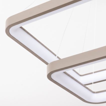 BRILAGI - LED Lustre dimmable sur câble FALCON SLIM LED/78W/230V 3000-6500K 50x50 cm beige + télécommande